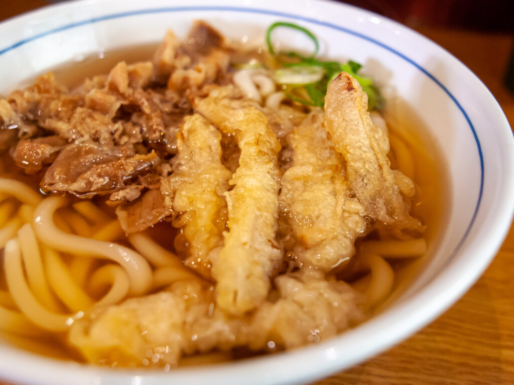 Udon with fried Burdock