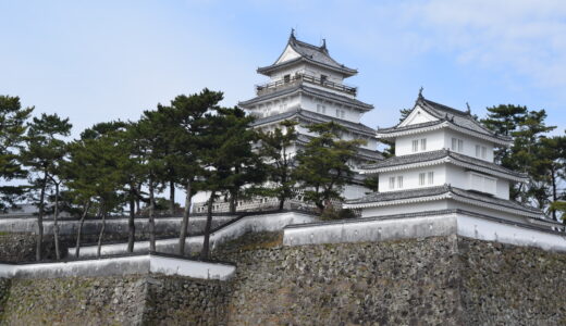 Shimabara City: Explore the Castle Town with Swimming Koi