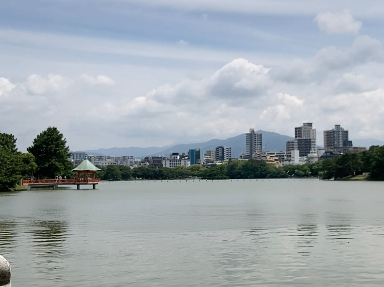 the view of Ohori Park