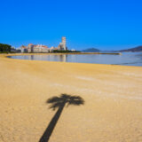 momochihama beach with a palm