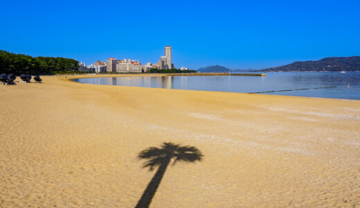 momochihama beach with a palm