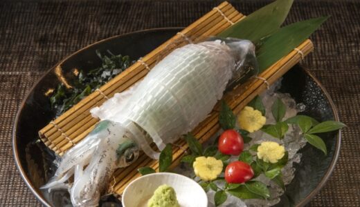 Yobuko Squid: Enjoy the Freshest Seafood Delicacy